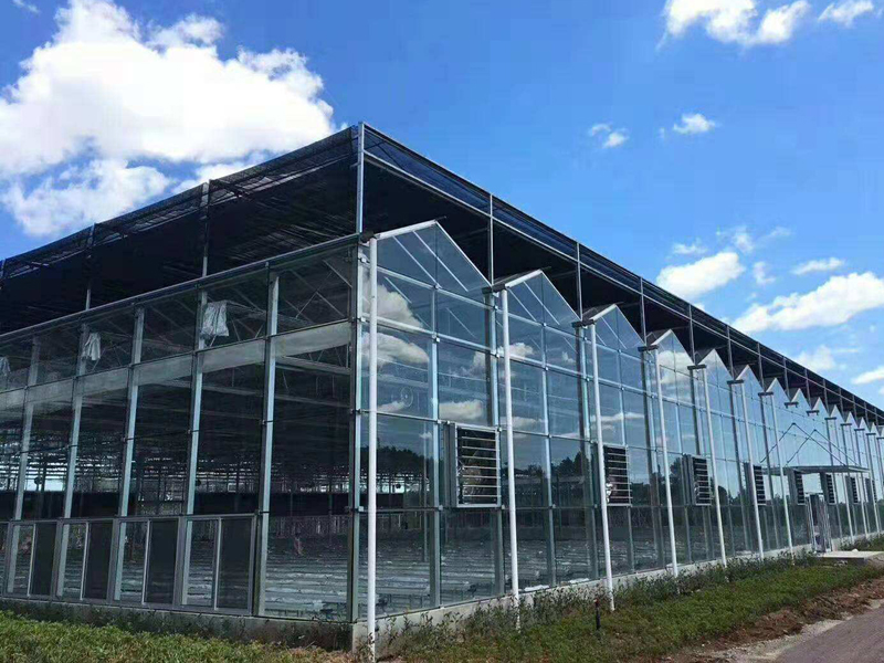 玻璃溫室